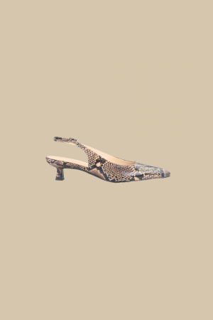  BRONZE PYTHON