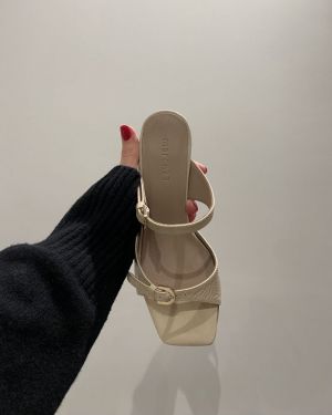  SAFARI VERNIS